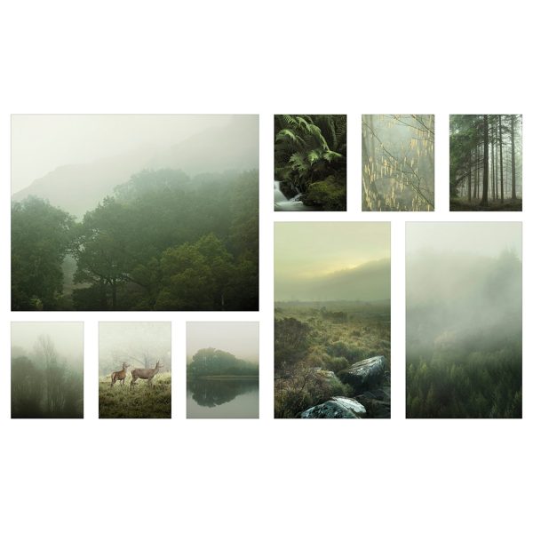 PJÄTTERYD Picture, set of 9, 179x112 cm